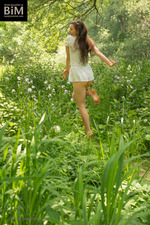 Cat In Wildflower - 00