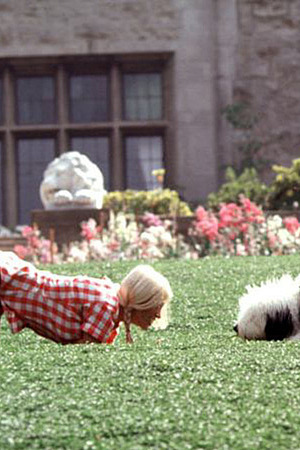 Sharon Johansen - Photo 04