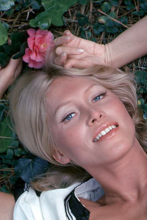 Sharon Johansen - Photo 05