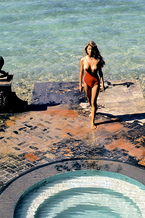 Terri Welles Vintage Playmate Of The Year 1981 Compilation - Photo 00