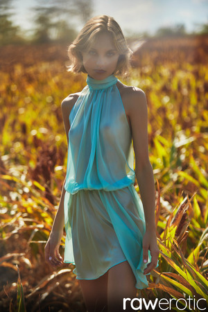 Hannah Ray Turquoise Dress Strip On The Prairie - Photo 04